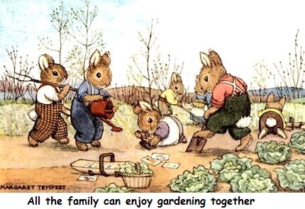 rabbit family in the garden