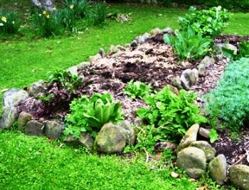 Raised garden vegetable bed with stone edging