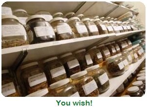 Saving Vegetable Seeds - Jars of stored seeds