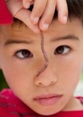 Worm composting - boy holding red wiggler worm