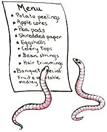 Worm farming menu - what to feed worms in vermiculture