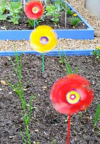 whirlygigs to frighten birds off garden