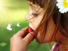 Kids in the garden eating strawberries