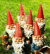 gnomes waiting for gardening advice and tips