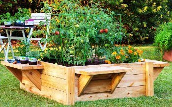 raised bed and seats or benches