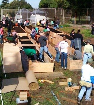 Raised bed boxes at Richmond High