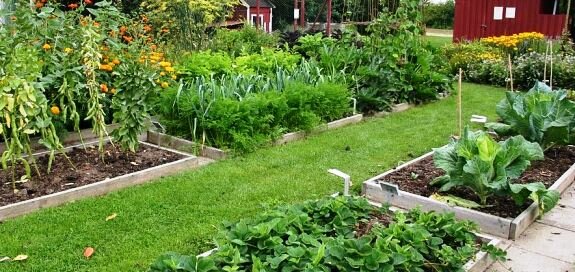 Rotating vegetable plots