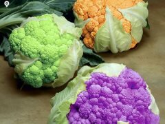 vegetables to grow coloured cauliflowers