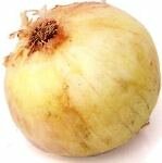 growing onions – maui sweet variety