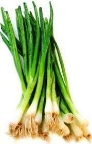 scallion varieties